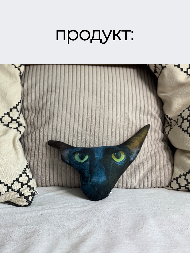 Карикатурна іграшка з вашим звуком та дизайном