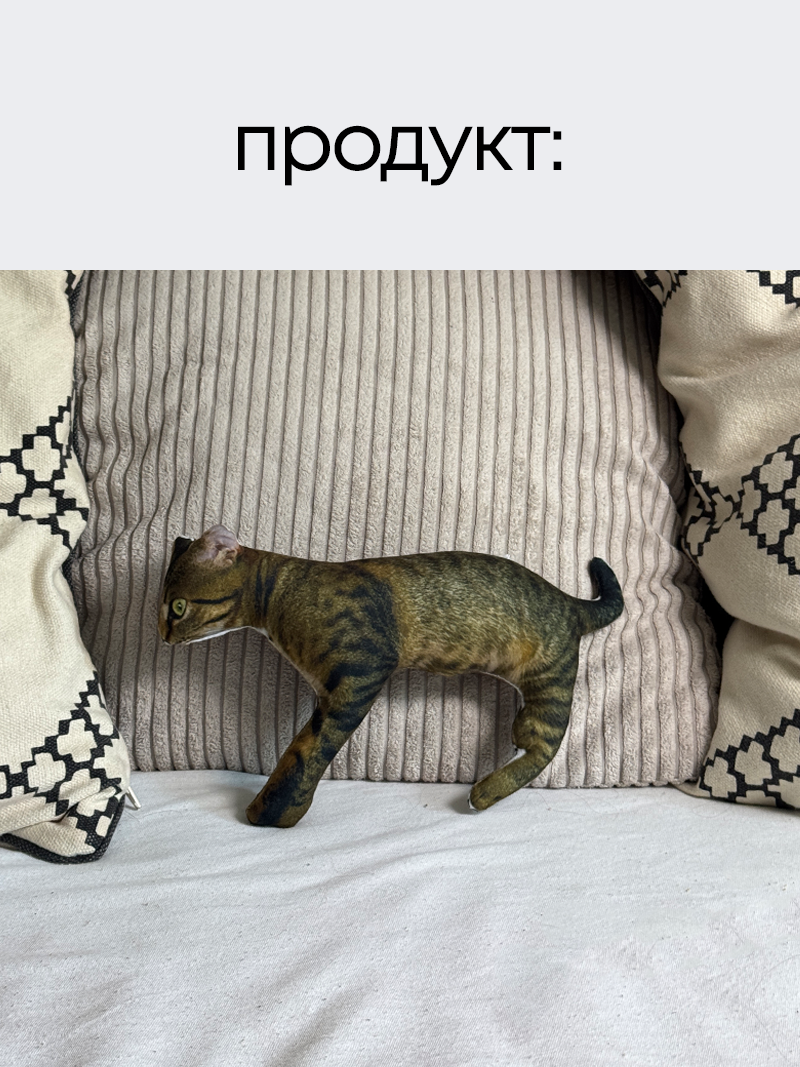 Карикатурна іграшка з вашим звуком та дизайном