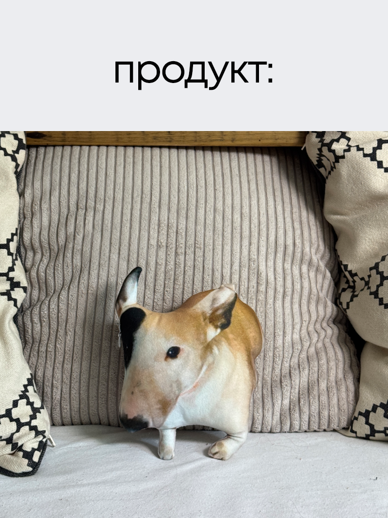 Карикатурна іграшка з вашим звуком та дизайном