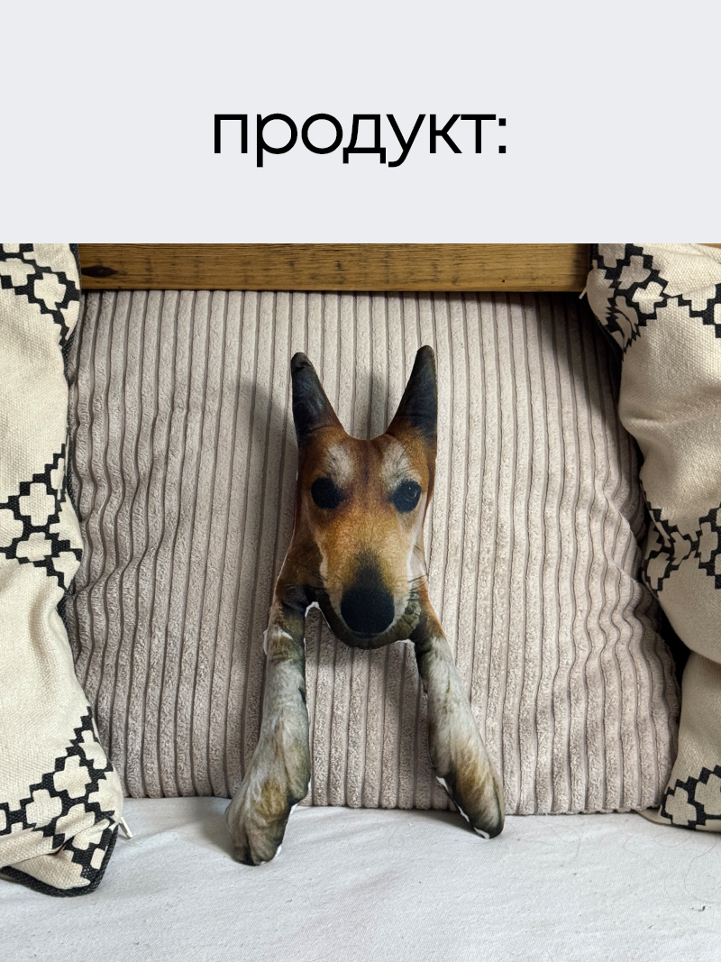 Карикатурна іграшка з вашим звуком та дизайном