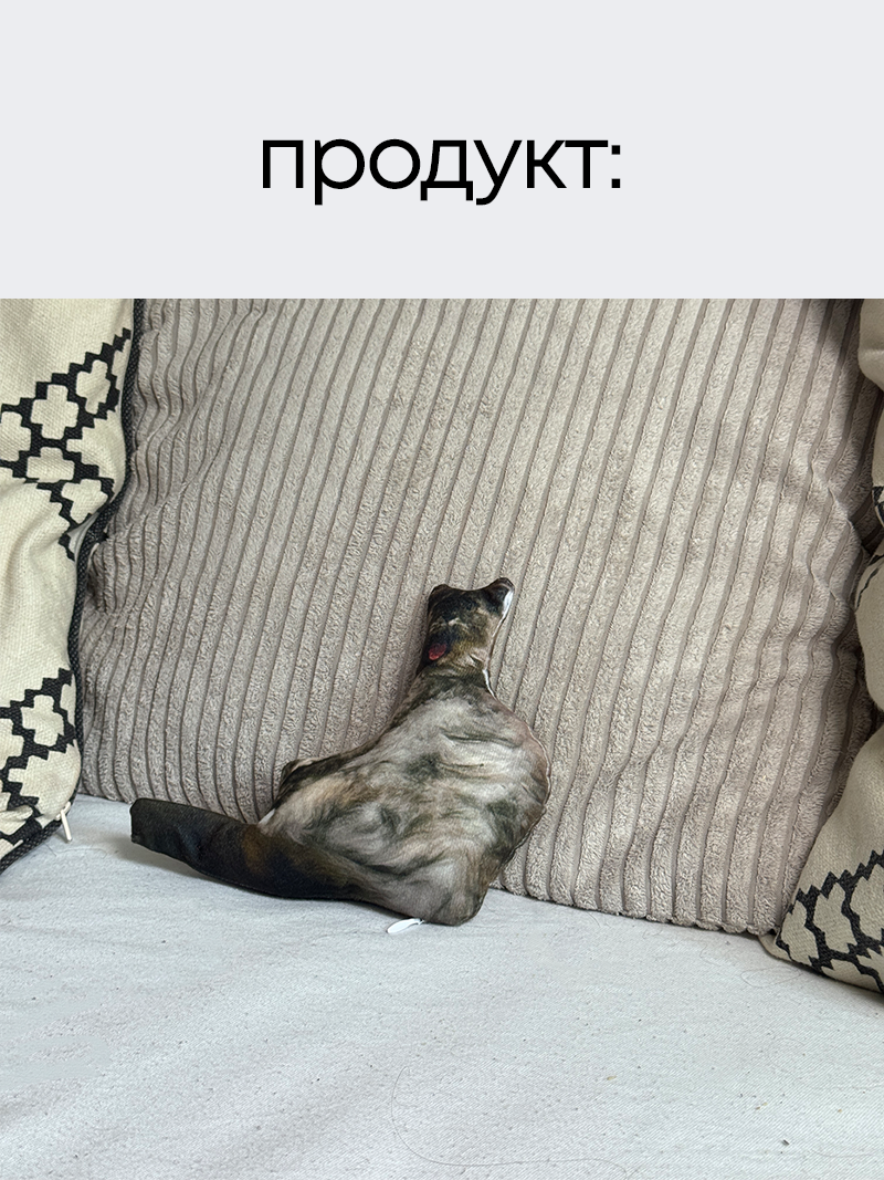 Карикатурна іграшка з вашим звуком та дизайном