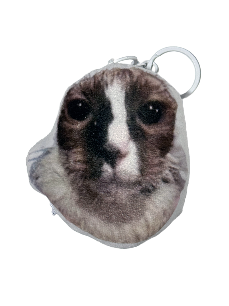 Брелок із динаміком Wake Up Cat