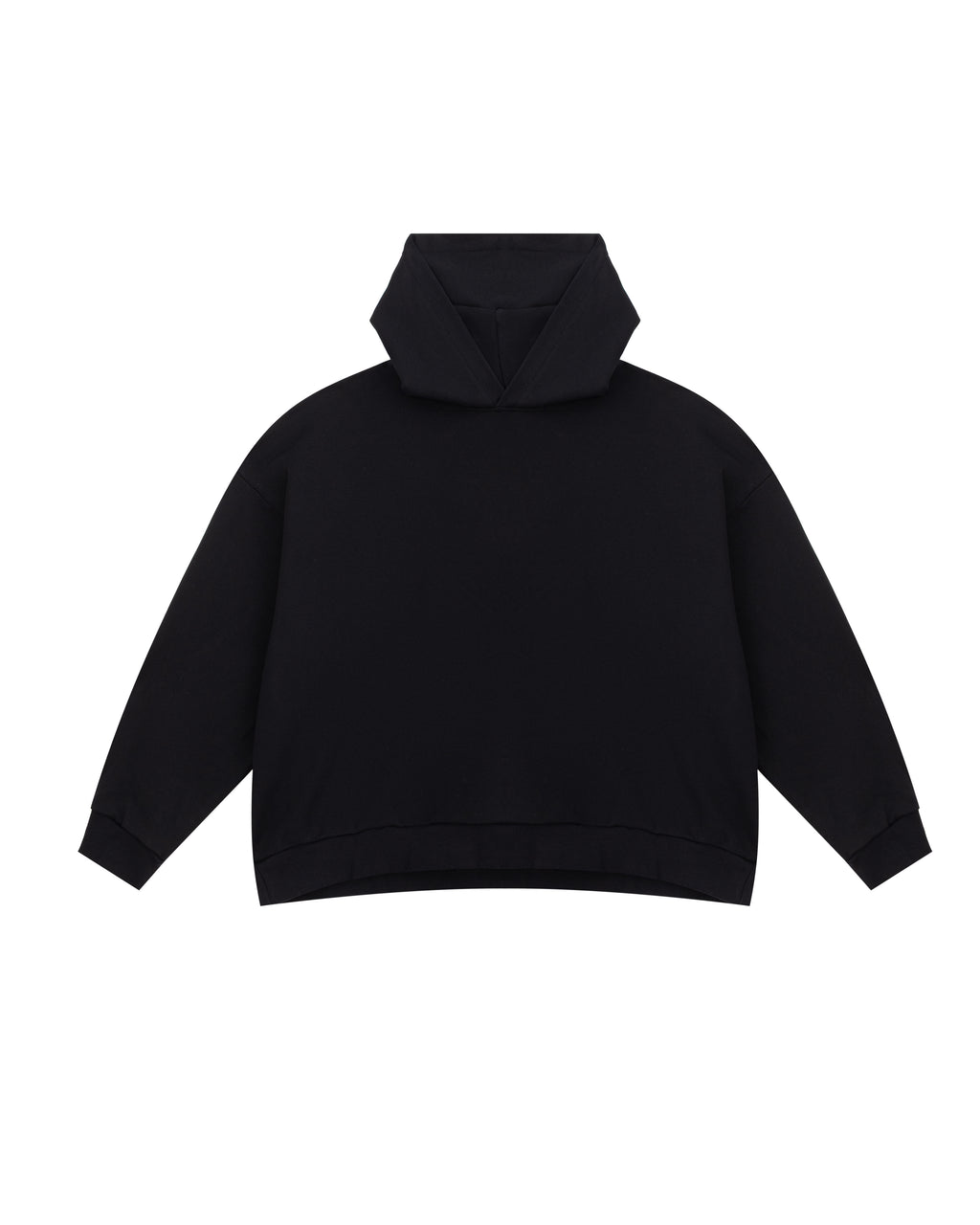 Худі Ex Homosexual