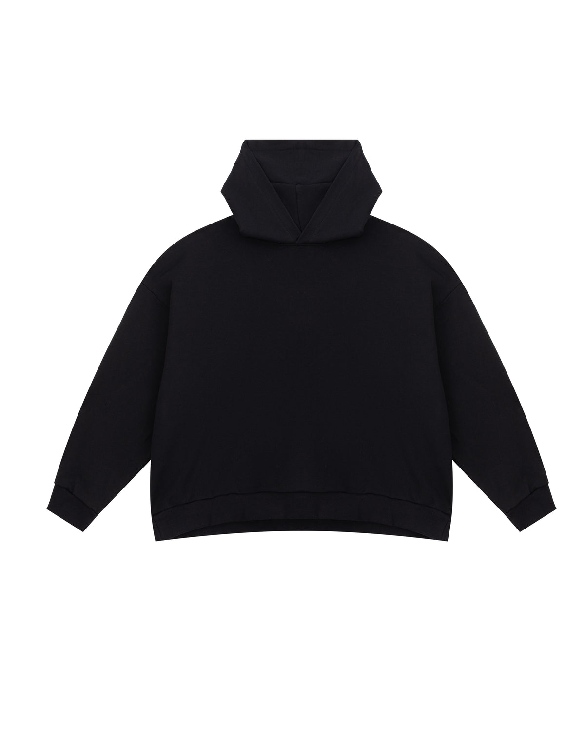 Худі Ex Homosexual